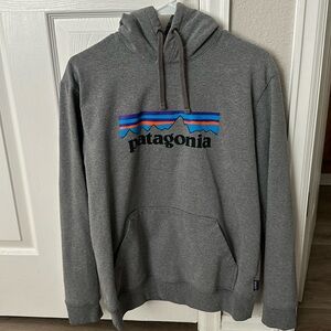 Patagonia Hoodie